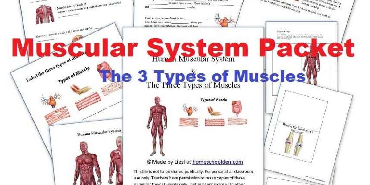 Printable Worksheets On The Muscular System Dubbed Watch Online Dvdrip 720p