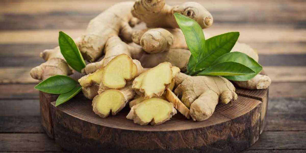 Have you concept About Why You’re Including Ginger in Your Diet?