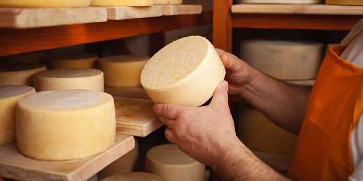 Specialty Cheese Market Share Industry Production, Potential Growth, & Analysis Forecast To 2030.