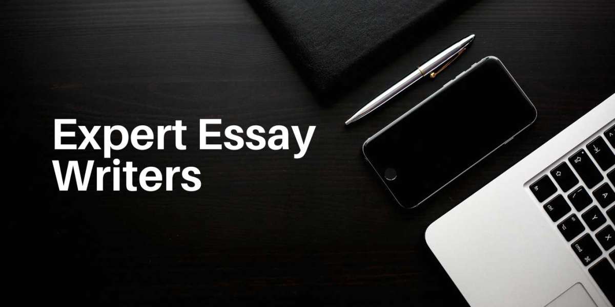 Want Support In Essays?