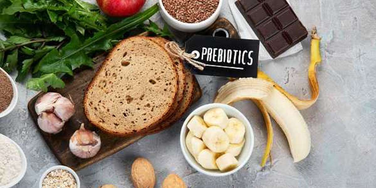 Prebiotics Market Size Global Segments by Forecast (2020-2030) | New Report.