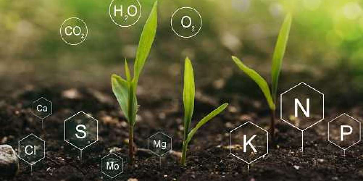 Sulfur Fertilizers Market Analysis Types, Companies & Forecast by 2020-2030.