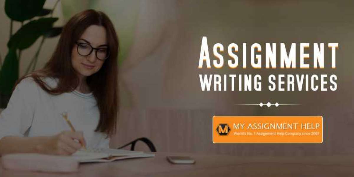 What is the function of an essay writer?