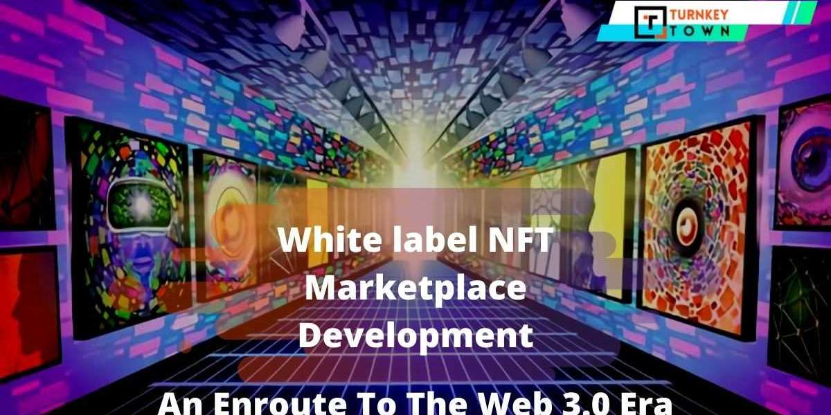 Could White-Label NFT Platform Tune Your Business Back In Track?