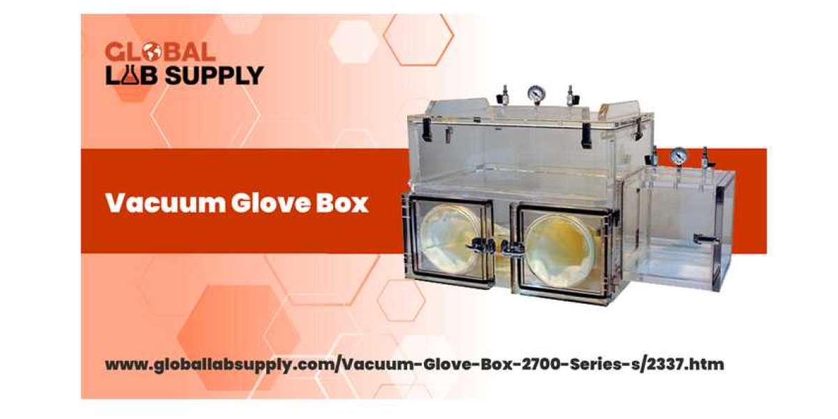 Everything You Need To Know About Vacuum Glove Box