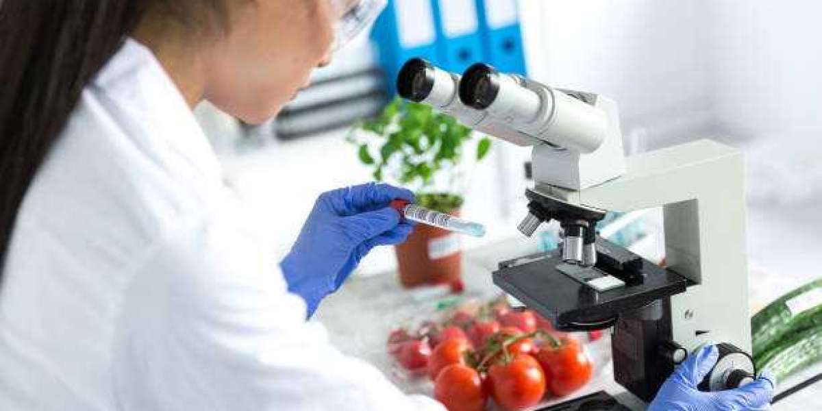 Food Safety Testing Market Size 2022, Share, Statistics, Worth, Top Players, Regional Outlook, Expert Advice, Demand