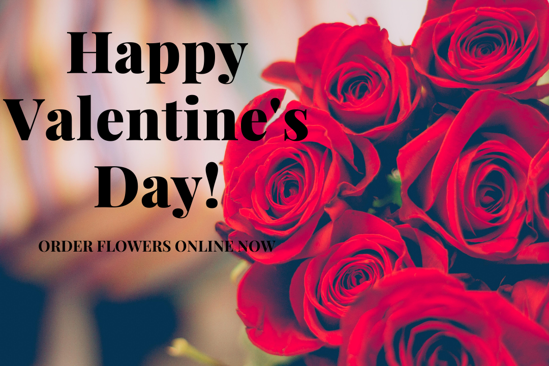 Florist Brighton, Flowers Online - Same Day Flower Delivery Melbourne