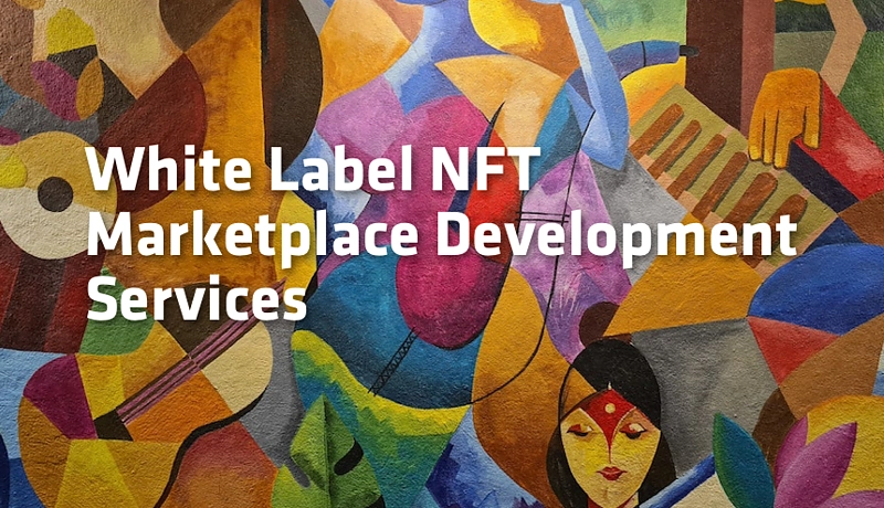 Best White label NFT Marketplace Development Company in USA