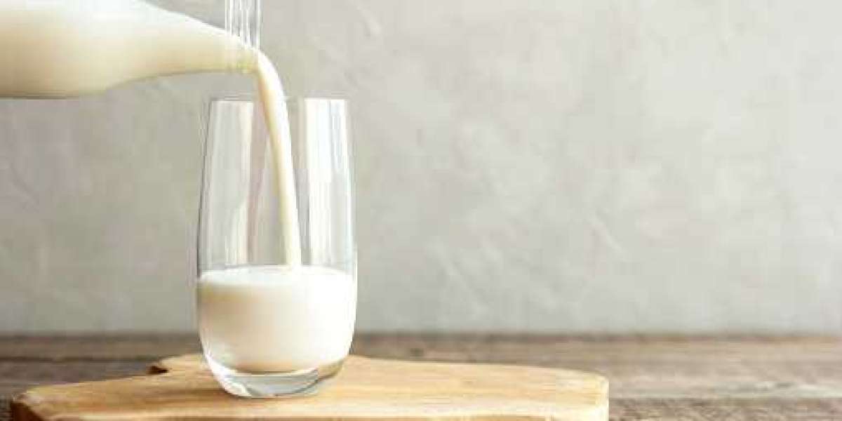 Textured Milk Protein Market Trends, Size, Leading Competitor, Regional Revenue, Forecast