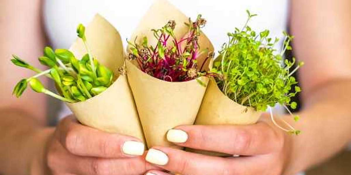 Microgreens Market Revenue, Regional Outlook, Growth, Key Players with Increasing Demand