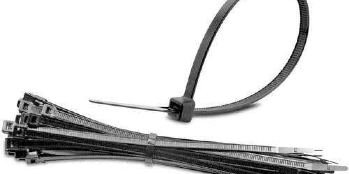 Stainless Steel Cable Ties Market Share to Register Incremental Sales Opportunity During 2022-2030