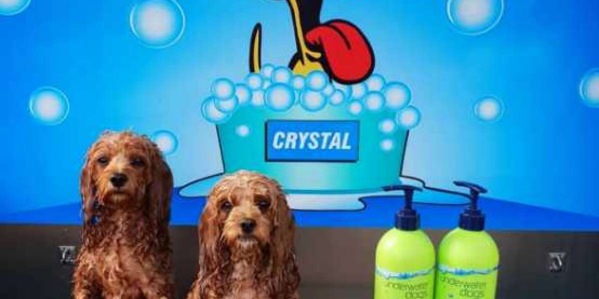 Shop for the Best Smelling Dog Shampoo and Conditioner Online