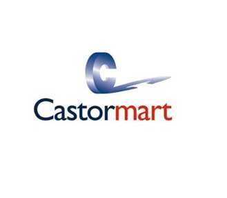 Castormart Profile Picture