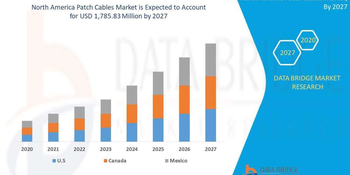 Global Market Report 2022 Competitive Landscape and Share Analysis of North America Patch cables market