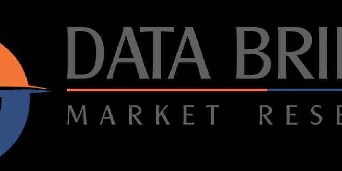 Food Fortifying Agents Market is poised to grow at a CAGR of 18.45% by 2028, Size, Share & Growth Opportunities