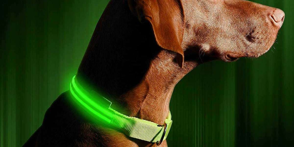 Choosing the Right Dog Collar - Do You Know the Dangers? - Scrufts.co.uk