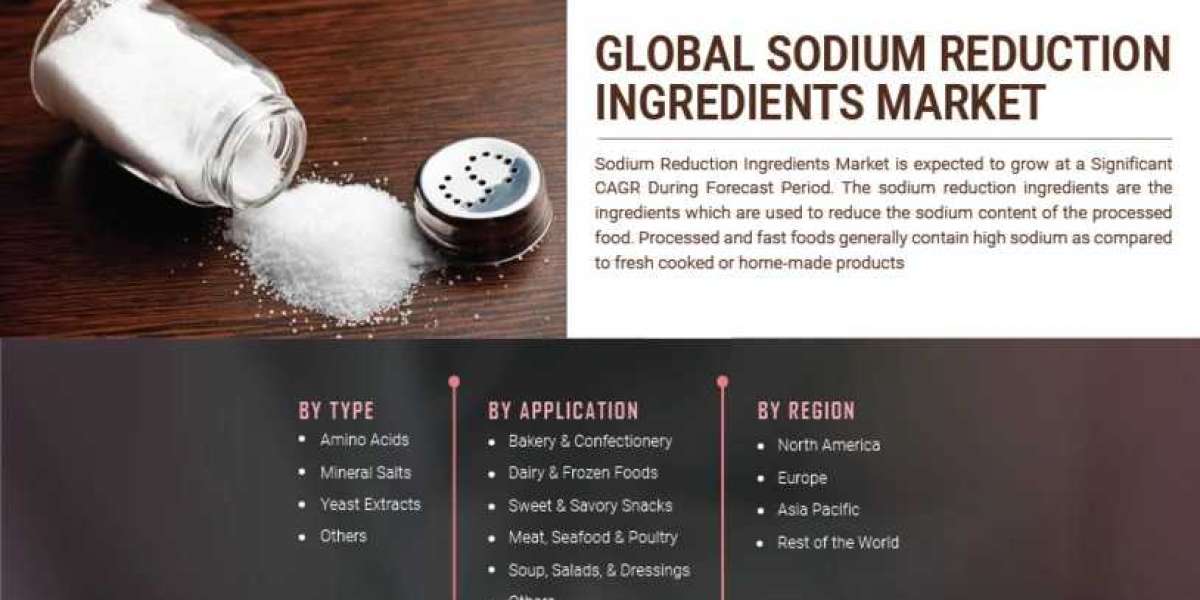 Sodium Reduction Ingredients Market Size Size And Key Trends In Terms Of Volume And Value Till 2030