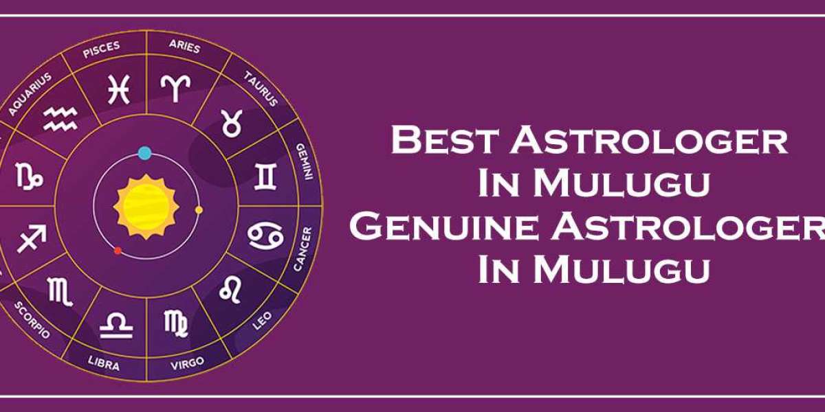 Best Astrologer in Mulugu | Black Magic & Vashikaran Astrologer in Mulugu