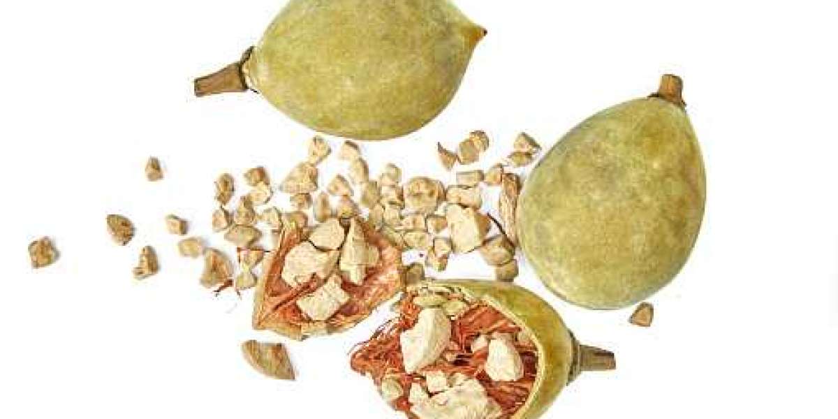 Baobab Market Ingredient:  Baobab Foods LLC (US), Mighty Baobab Limited (UK), B'Ayoba (Zimbabwe),