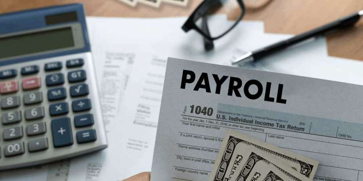 AVAILABILITY OF PROFESSIONAL ONLINE PAYROLL SERVICES