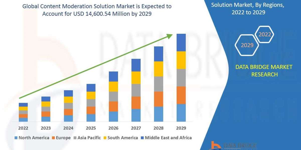 Content moderation solution market Insight on Share, Application, And Forecast Assumption 2029