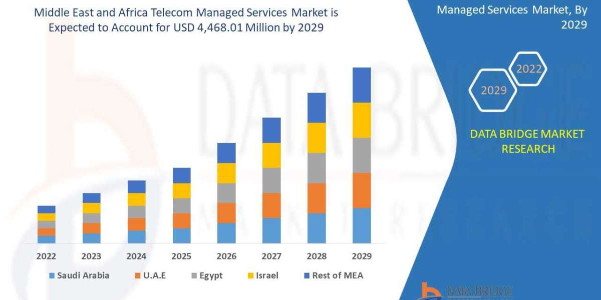 Middle East and Africa Telecom Managed Services Market Insight on Share, Application, and Forecast Assumption 2029