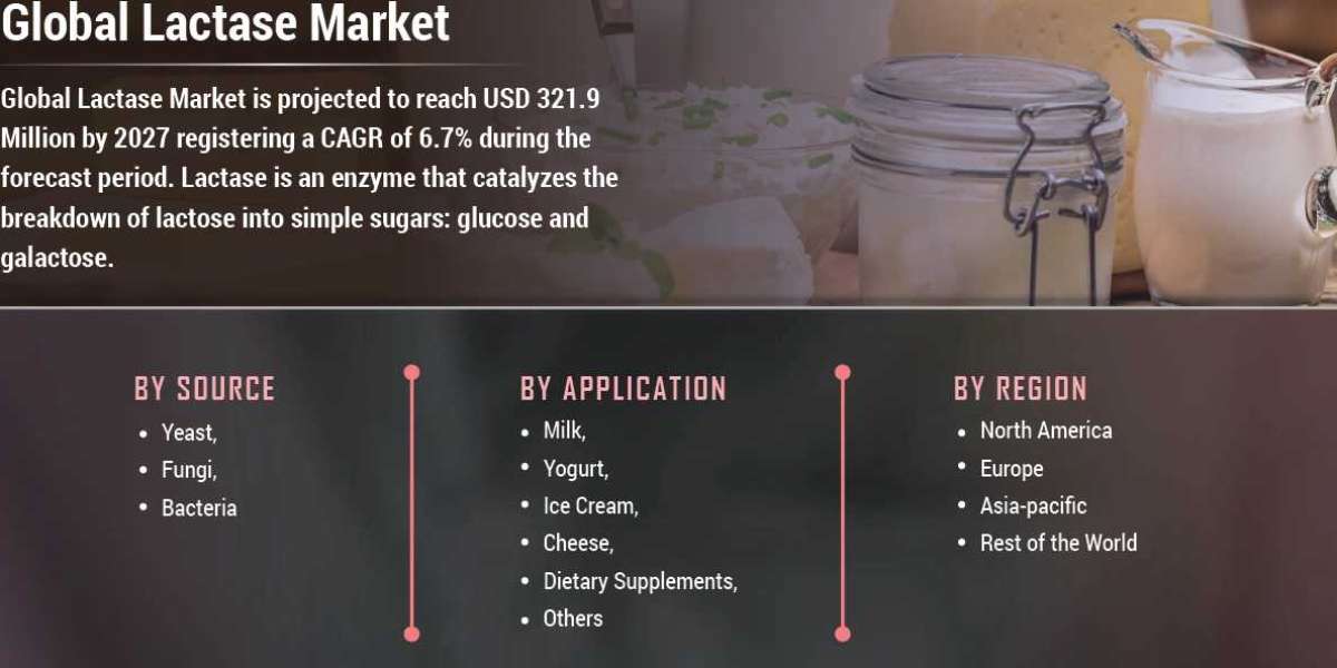 Lactase Market Forecast Analysis, Size, Share, Growth, Trends And Forecast Till 2027