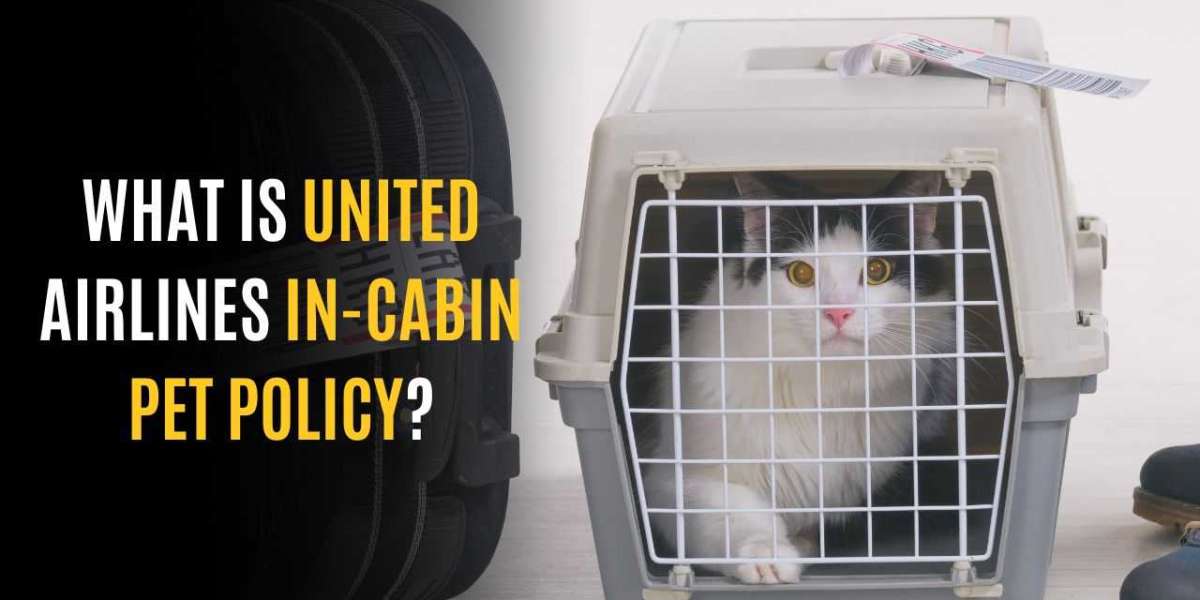 What is United Airlines In-cabin pet policy?