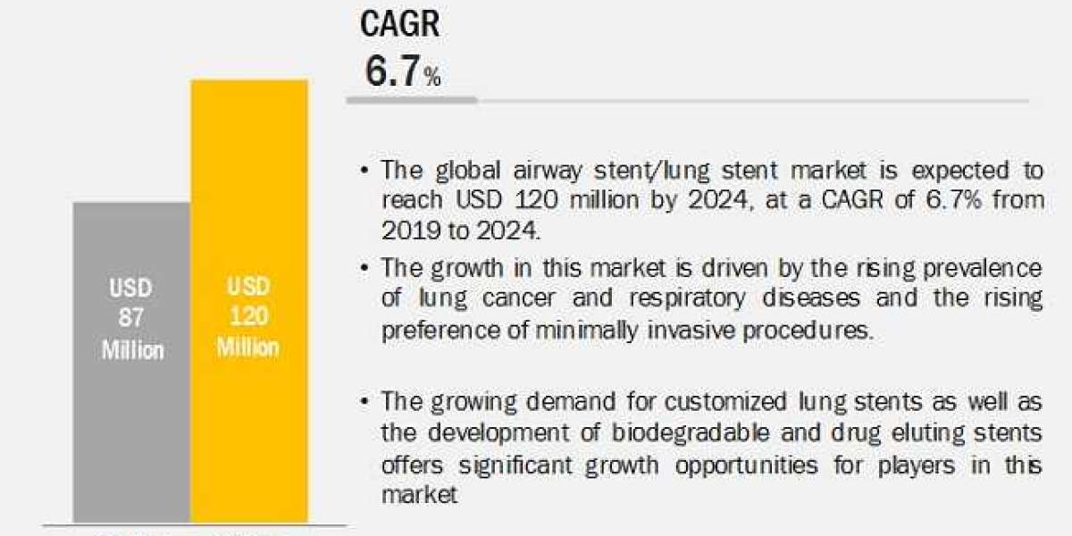 The Metal stents segment is estimated to account for the largest share of the airway stent/lung stent market