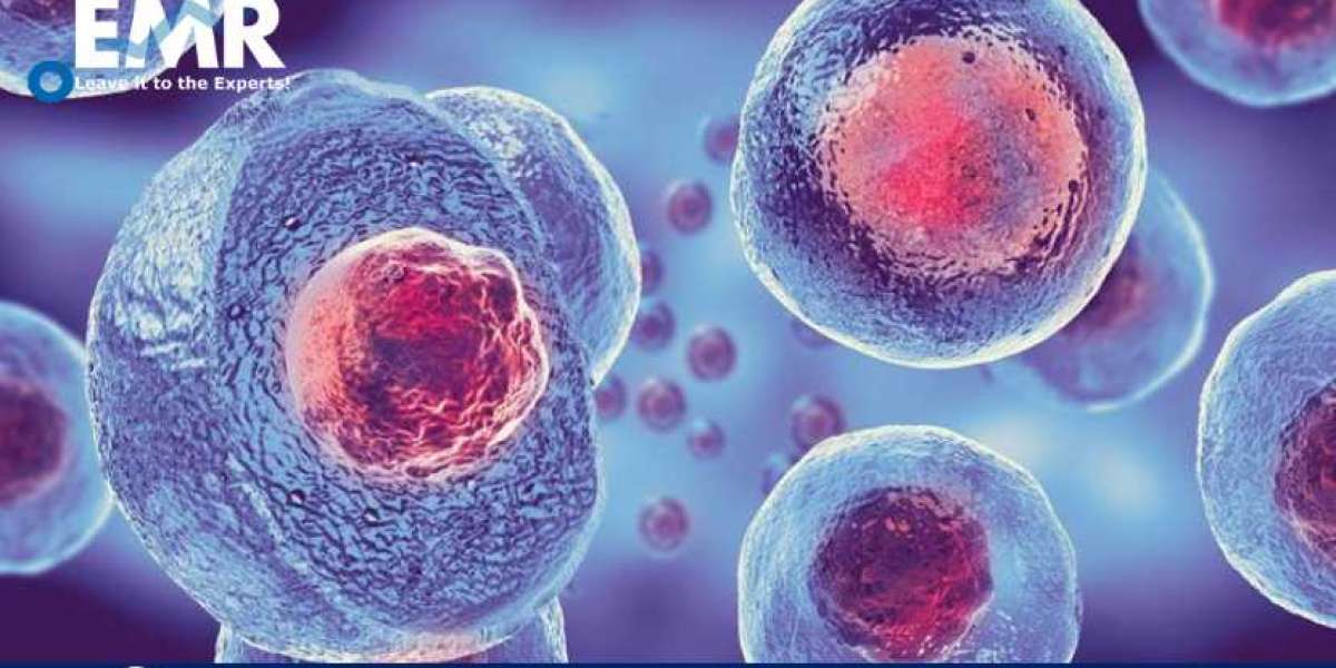 Global Cell Therapy Market to be Driven by Rapidly Growing Research and Development (R&D) Efforts and Advantageous G