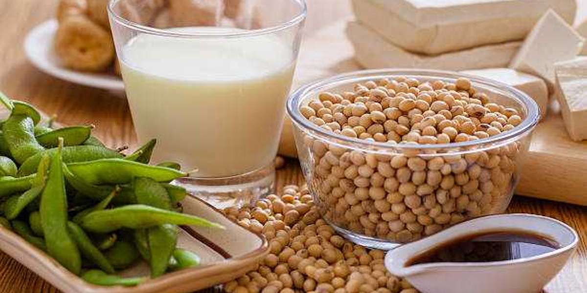 Soy Food Market Trends Growth at 4.98% - Industry Analysis Report by Size and Share, Recent Development and Outlook 2030