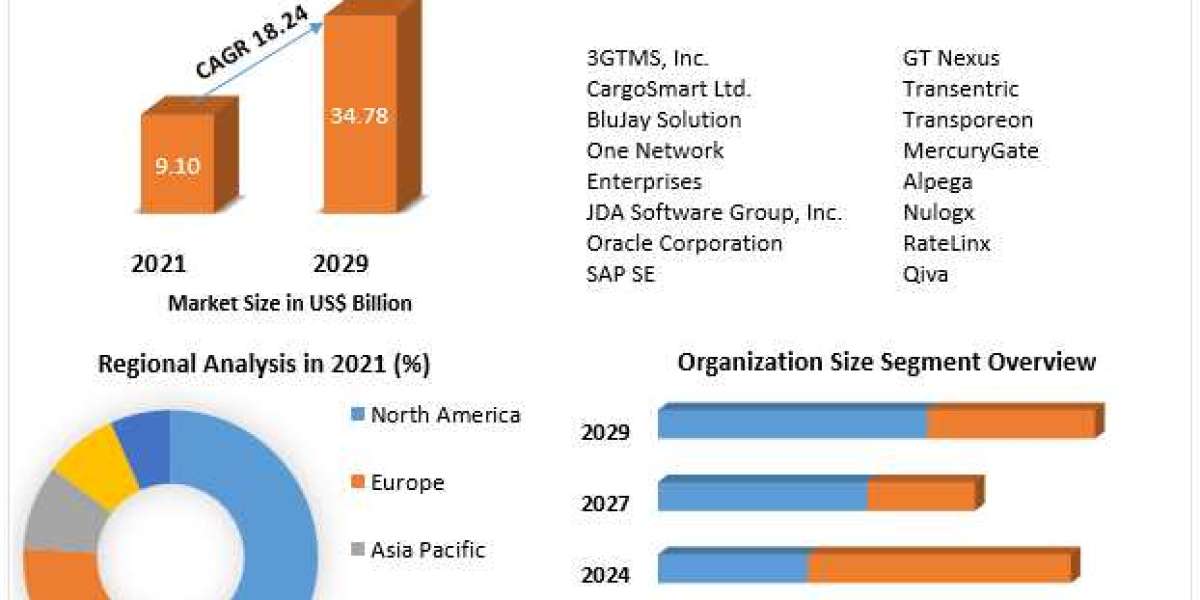 Transportation Management System (TMS) Market Key Takeaways, Revenue Analysis and Forecast 2029