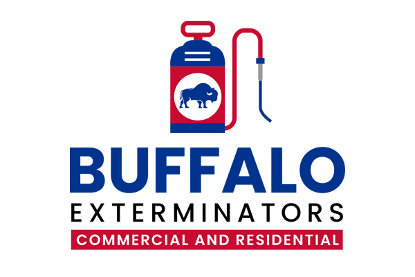 Termites Treatment Buffalo NY | Termites Pest Control  - Buffalo Exterminators
