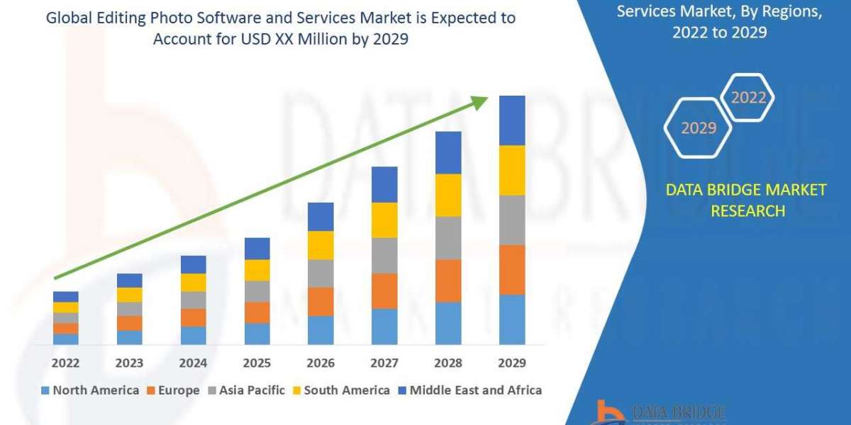 Editing Photo Software and Services Market Industry challenges