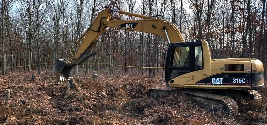 Long Island Lumberjack - Land Clearing, Tree Removal