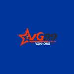 vg99 org Profile Picture