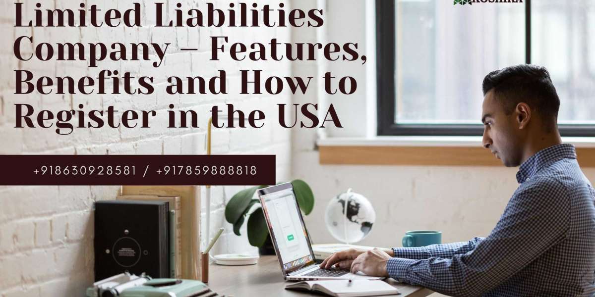 Limited Liabilities Company – Features, Benefits and How to Register in the USA