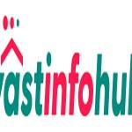 Vastinfo Hub Profile Picture