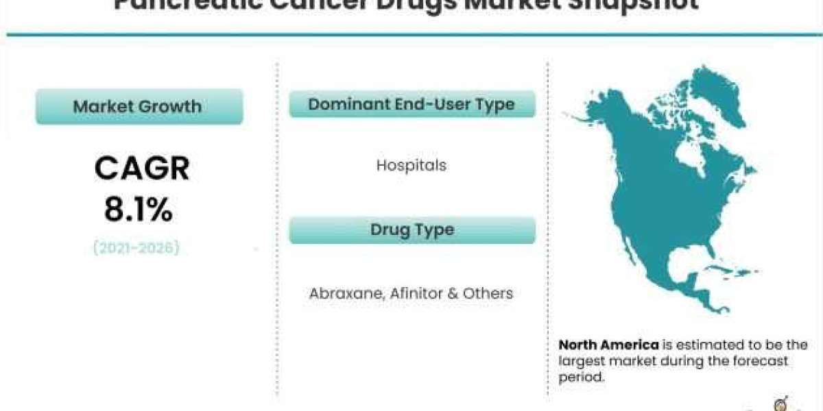 Pancreatic Cancer Drugs Market Set for Rapid Growth During 2021-2026