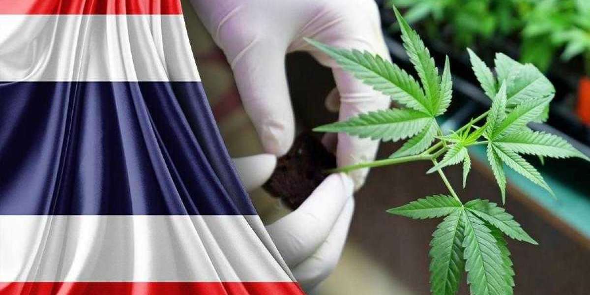 Thailand Medical Cannabis Market Report | Size, Share, Trends, Industry Insights, Opportunity and Forecast to 2027