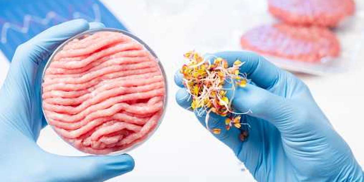 Lab-Based Meat Market Research by Statistics, Application, Gross Margin, and Forecast 2030