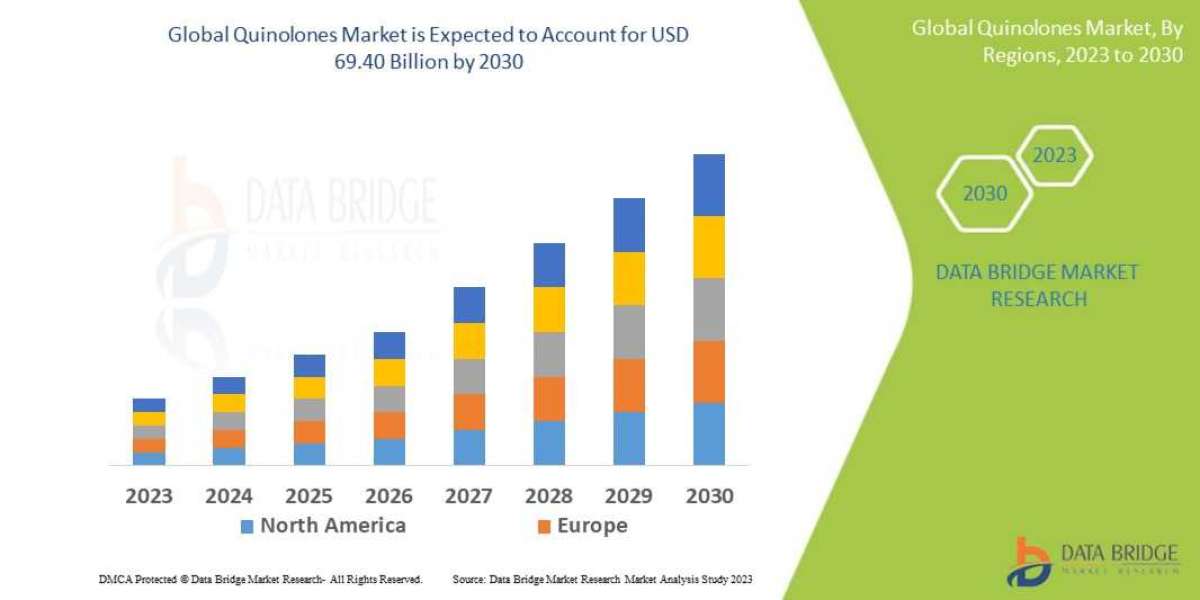 Quinolones Market Global Trends, Share, Industry Size, Growth, Demand, Opportunities and Forecast By 2030