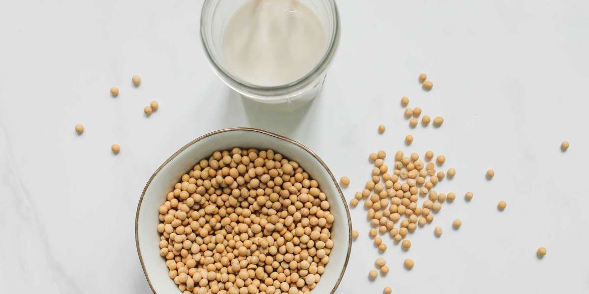 Soy Milk Market Size, Revenue Share Analysis, Region & Country Forecast to 2030