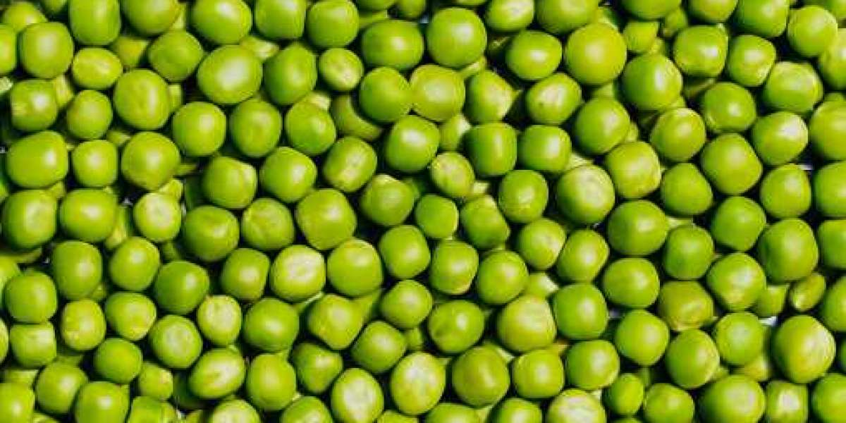 Pea Starch Market Report with Regional Growth and Forecast 2030