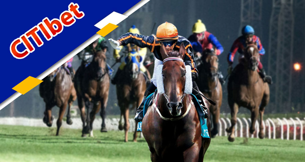 CITIbet | Citibet Online Casino Review | Citibet Horse Racing Games Singapore | Citibet Horse Betting Platform | Online Gambling Review