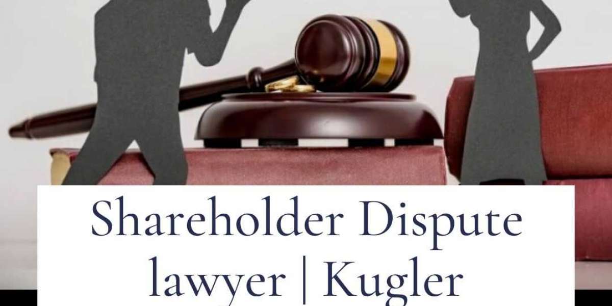 Shareholder Dispute lawyer | Kugler Kandestin