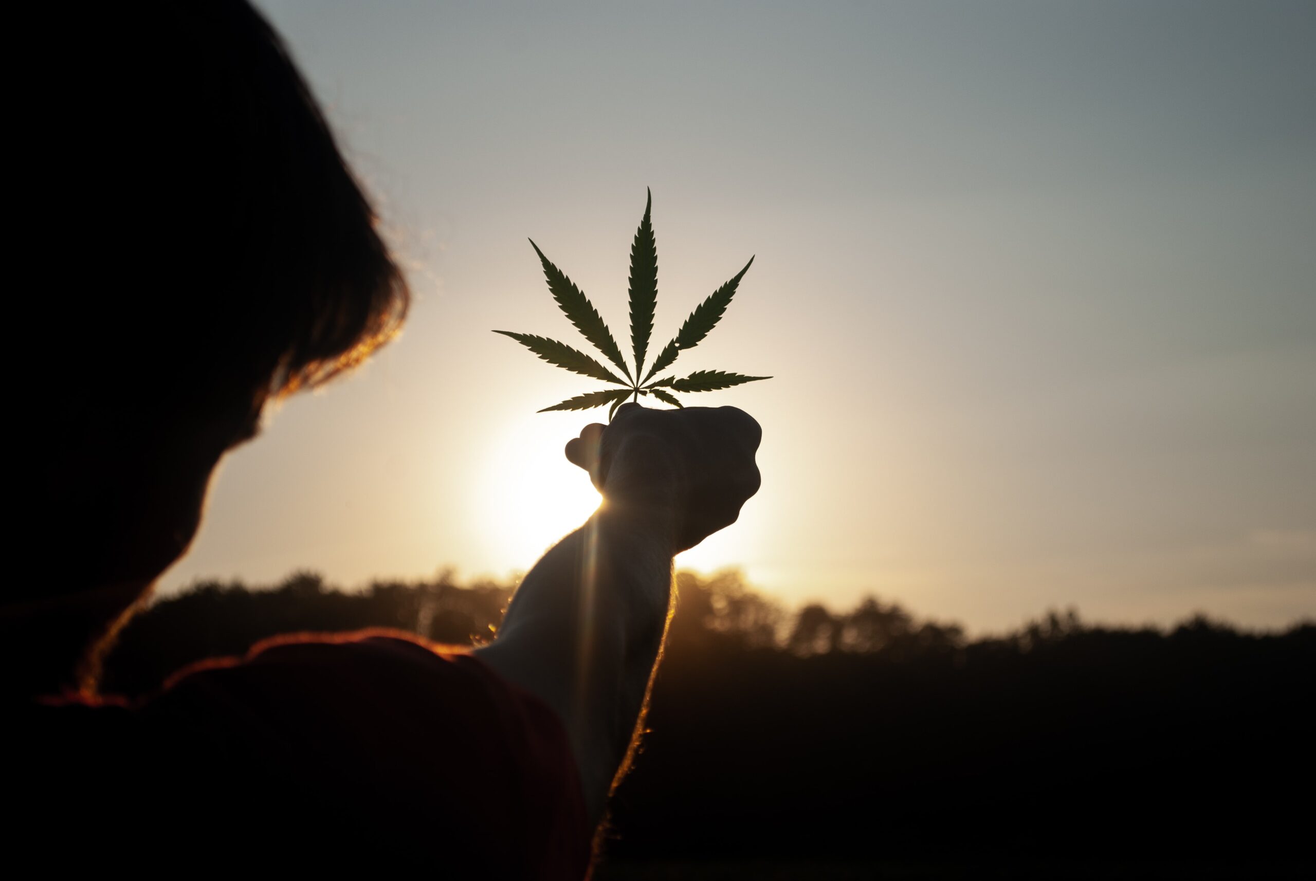 Legal weed in the UK can bring these benefits to the table. – MediumPublisher