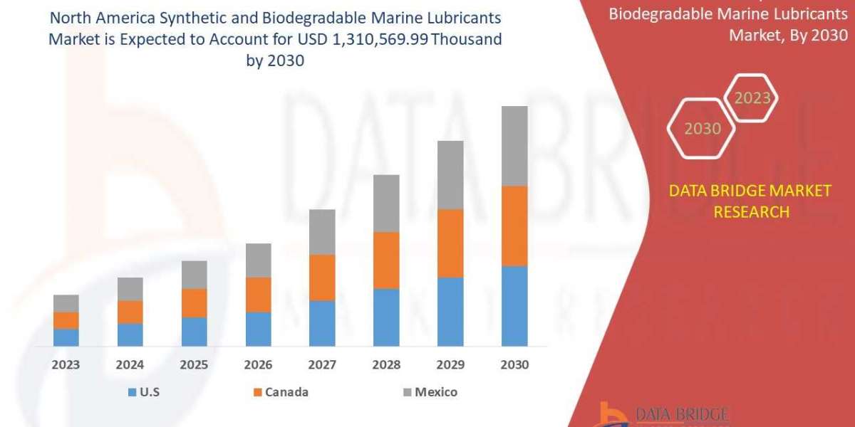 Synthetic and Biodegradable Marine Lubricants Market Precise, Powerful, & Measurable in 2030