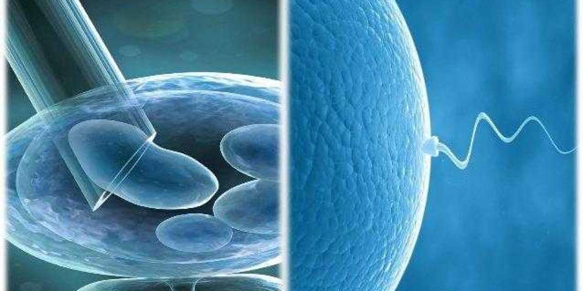 In Vitro Fertilization Banking Services Market to Grow with a CAGR of ~10% During 2023-2033