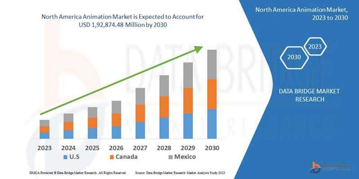 North America Animation Market Insights 2023: Trends, Size, CAGR, Growth Analysis by 2030